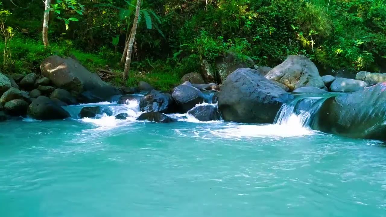 Forest Ambiance - Calm River Flow for Sleep and Relaxation