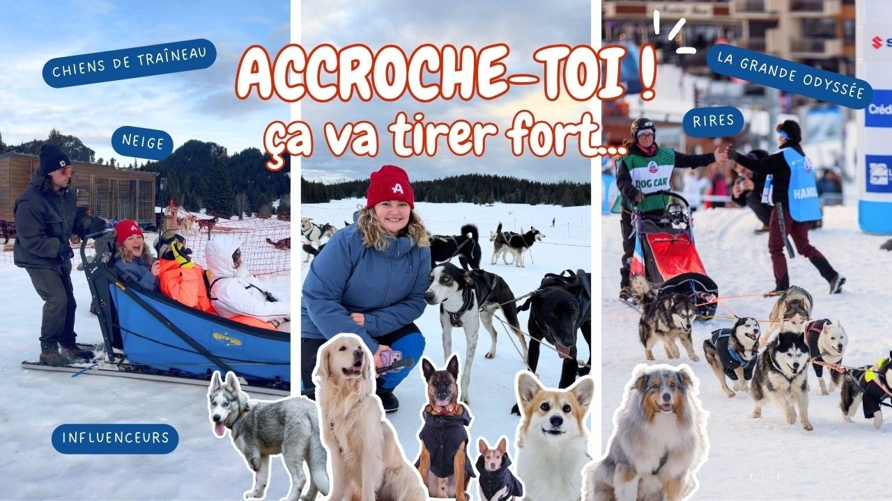 48H À LA MONTAGNE AVEC DES CHIENS : UNE EXPÉRIENCE INOUBLIABLE 😍