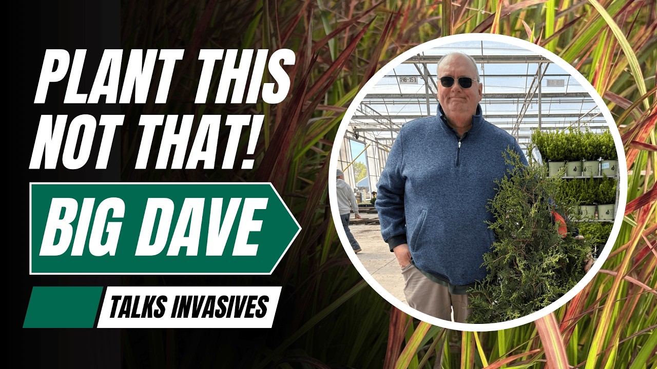 Invasive Plants Explained: What’s Listed, What’s Next, and What’s Available as an Alternative