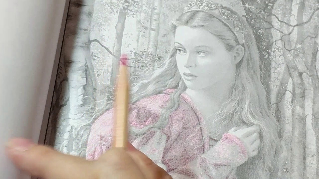 Coloring fabrics... the 12 Dancing Princesses coloring book