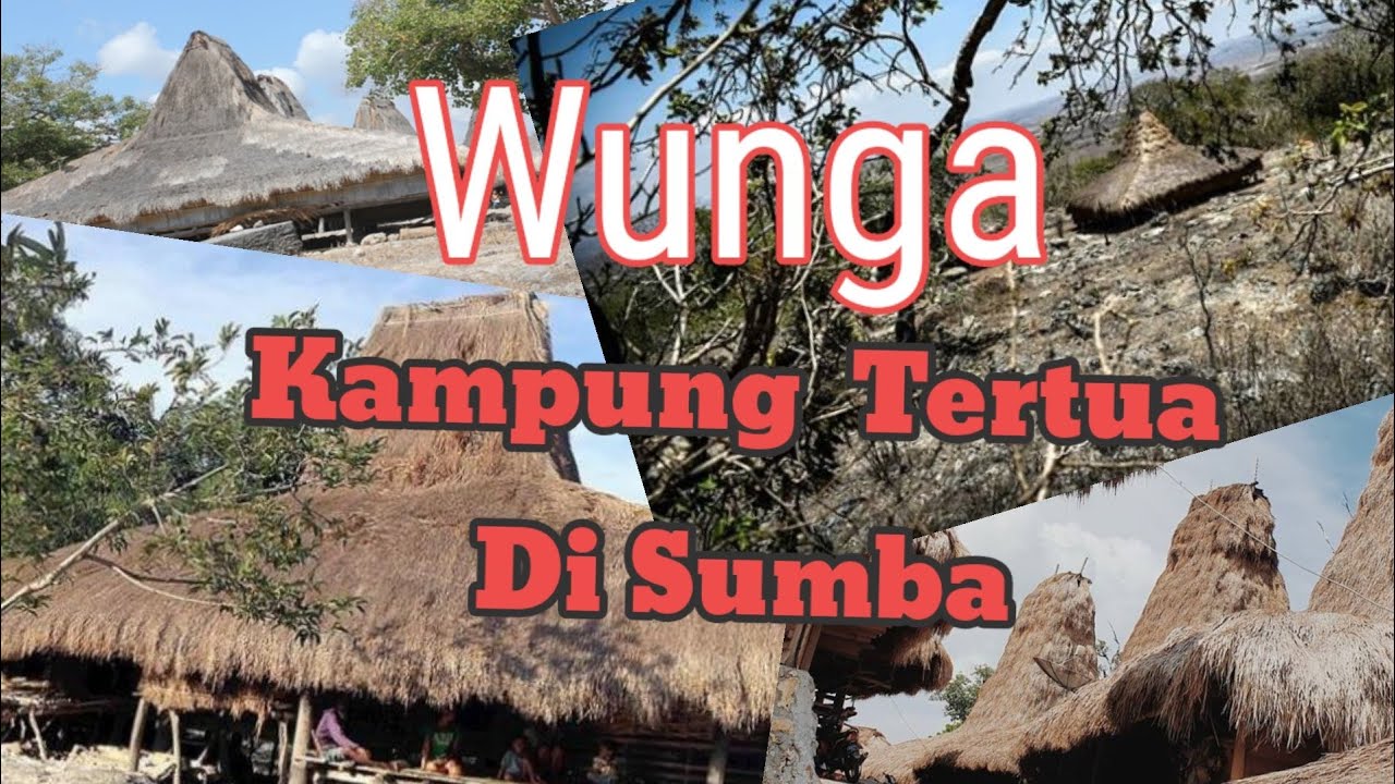 INILAH!! TANAH KELAHIRAN SEBAGIAN MASYARAKAT SUMBA DI NUSA TENGGARA TIMUR
