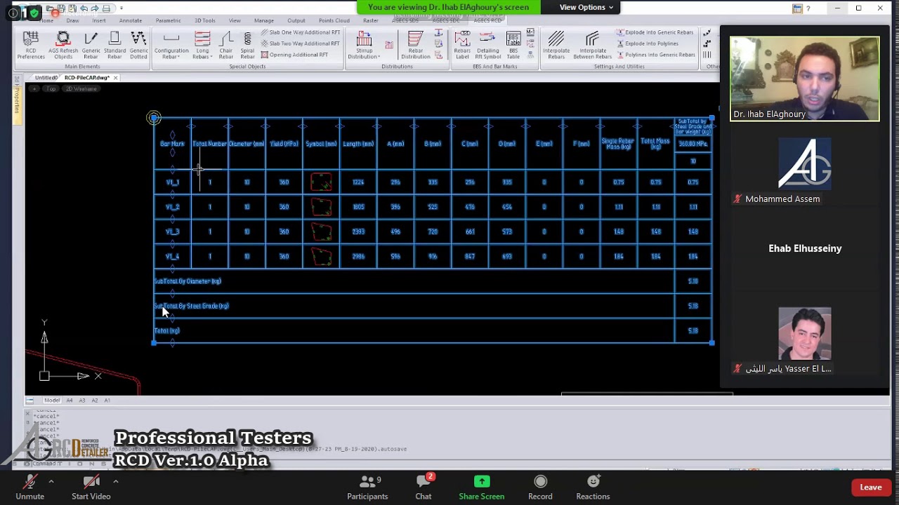 03-Professional Testers-RCD Ver.1.0 Alpha-Outro Discussion