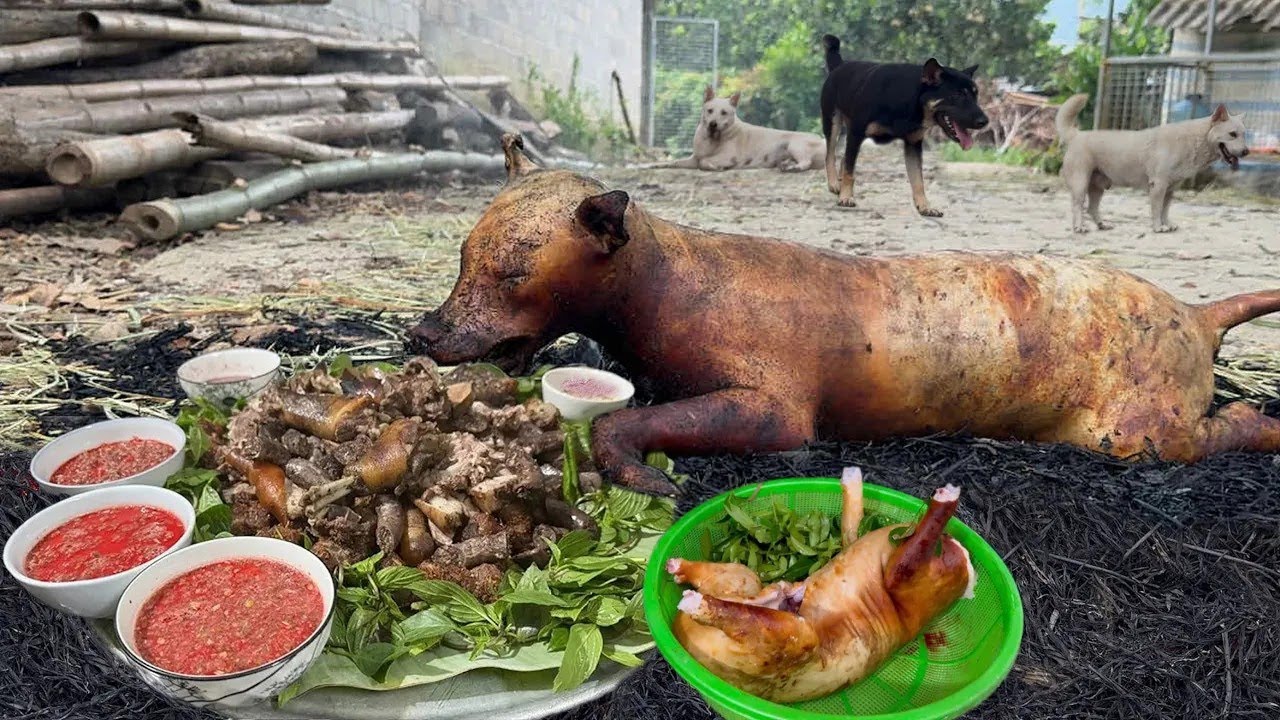 Tiết Canh Ch&oacute;, Đỉnh Cao Thịt Ch&oacute; Nướng Cả Con - Nhịp Sống T&acirc;y Bắc