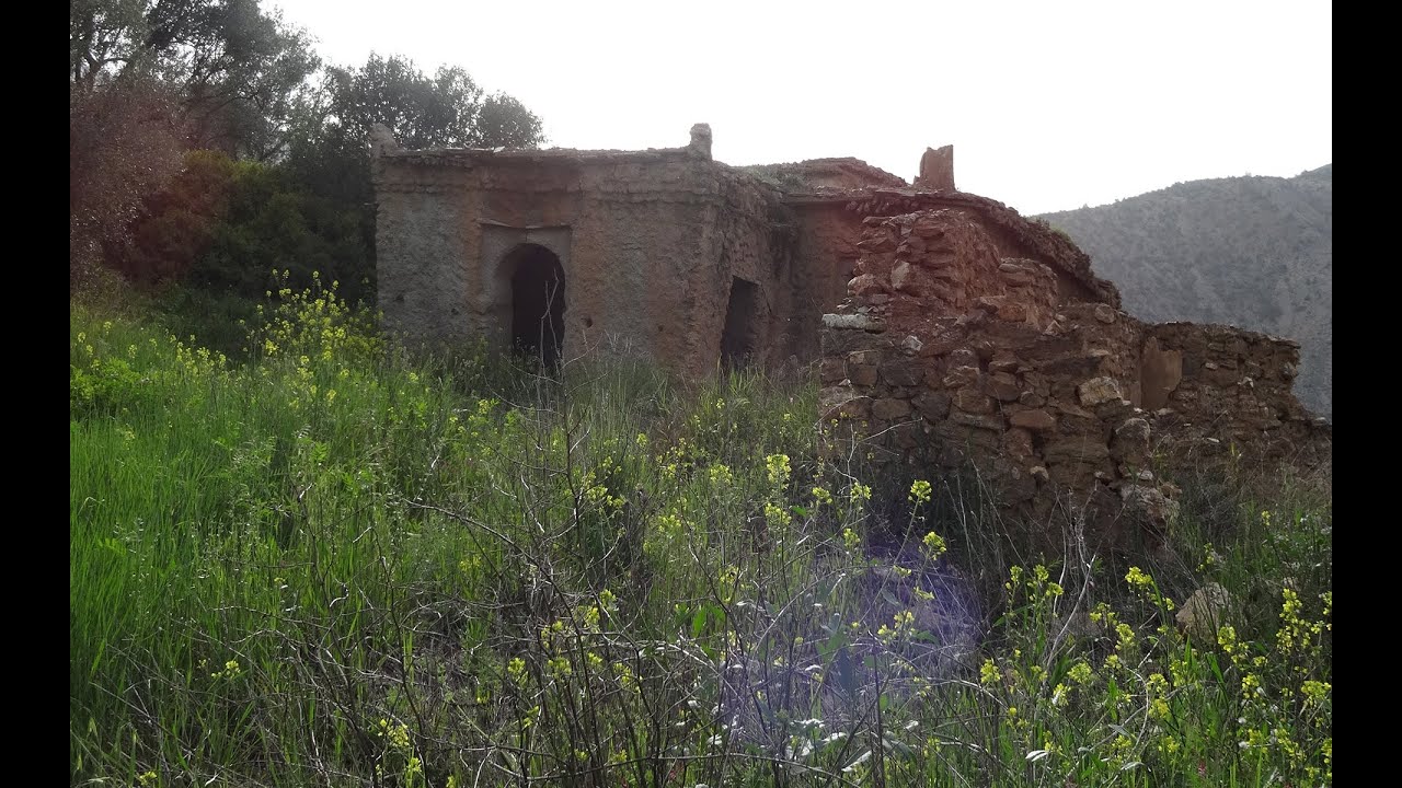 oulad ali ben aissa (jaddi handomossa)