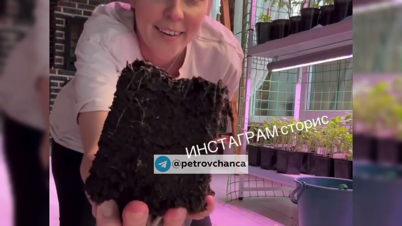 Хейтеры помолчите я начинаю бизнес ПЕТРОВЧАНКА petrovchanka_lera #garden #жизньзагородом #shorts