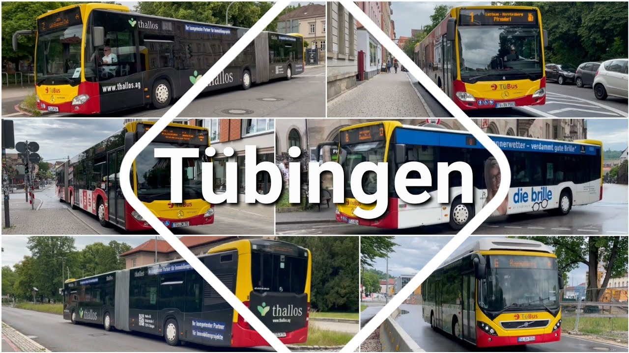 Tübinger Busse | #7