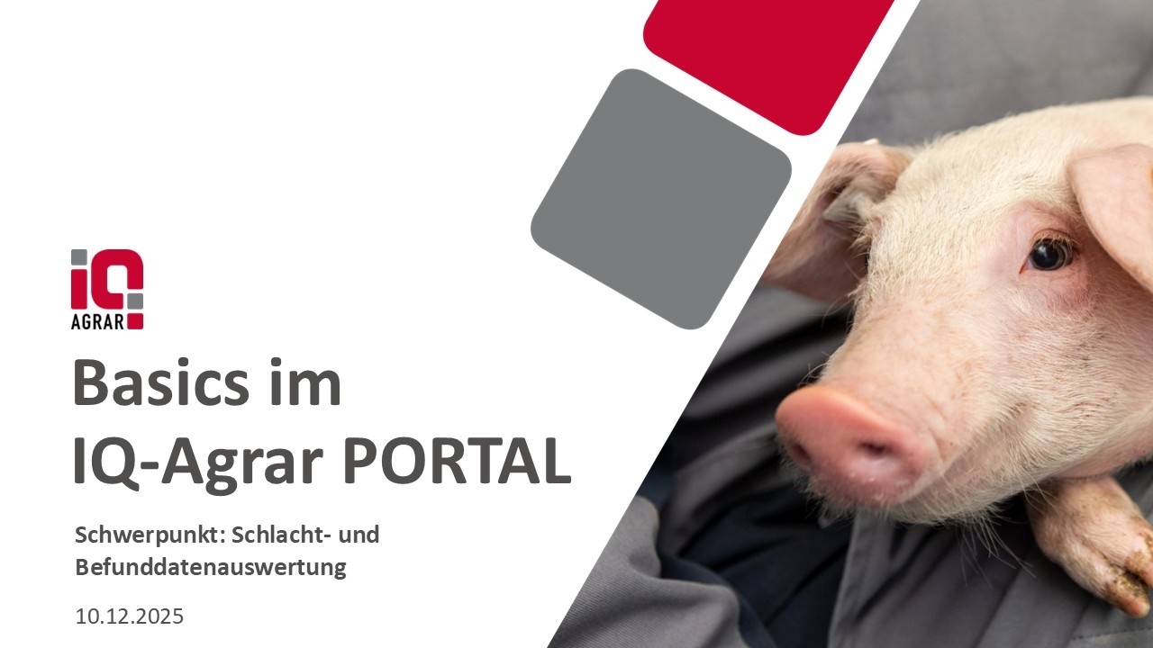 Vortrag zum IQ-Agrar PORTAL: Basics der Schlacht- und Befunddatenauswertung
