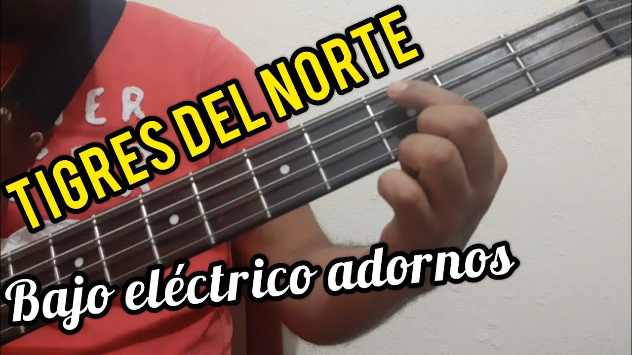 Cómo tocar ADORNOS de los Tigres del Norte en Bajo Eléctrico