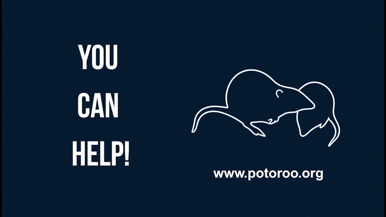 You Can Help! | Gilbert&rsquo;s Potoroo - Chapter V