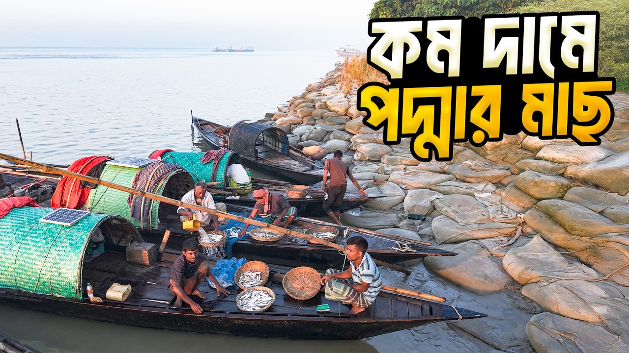 আন্ধারমানিক ঘাটে টাটকা মাছ কিনতে ভীড় করেছে দূর দূরান্তের মানুষ । Manikganj Andharmanik Ghat