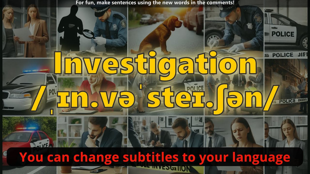 Investigation meaning with 5 examples