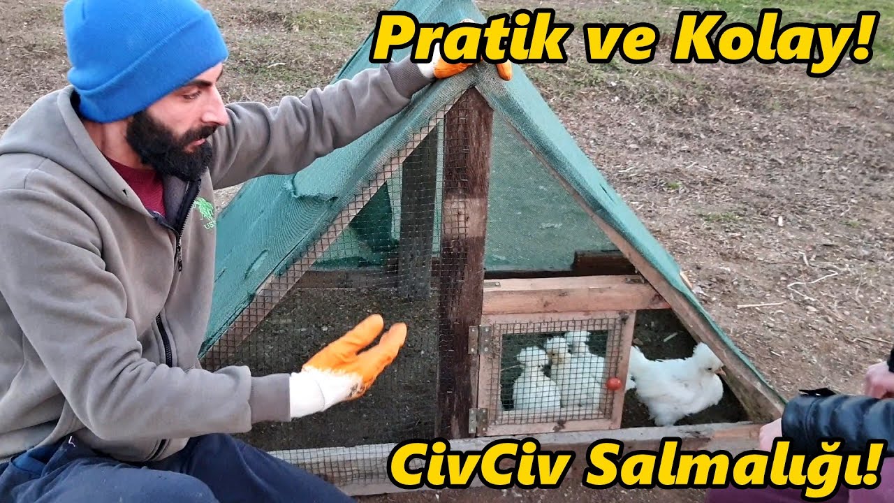 CivCiv Salmalık Yapımı!-/Basit ve Güzel!#Tekirdağ#civciv#horoz#tavuk