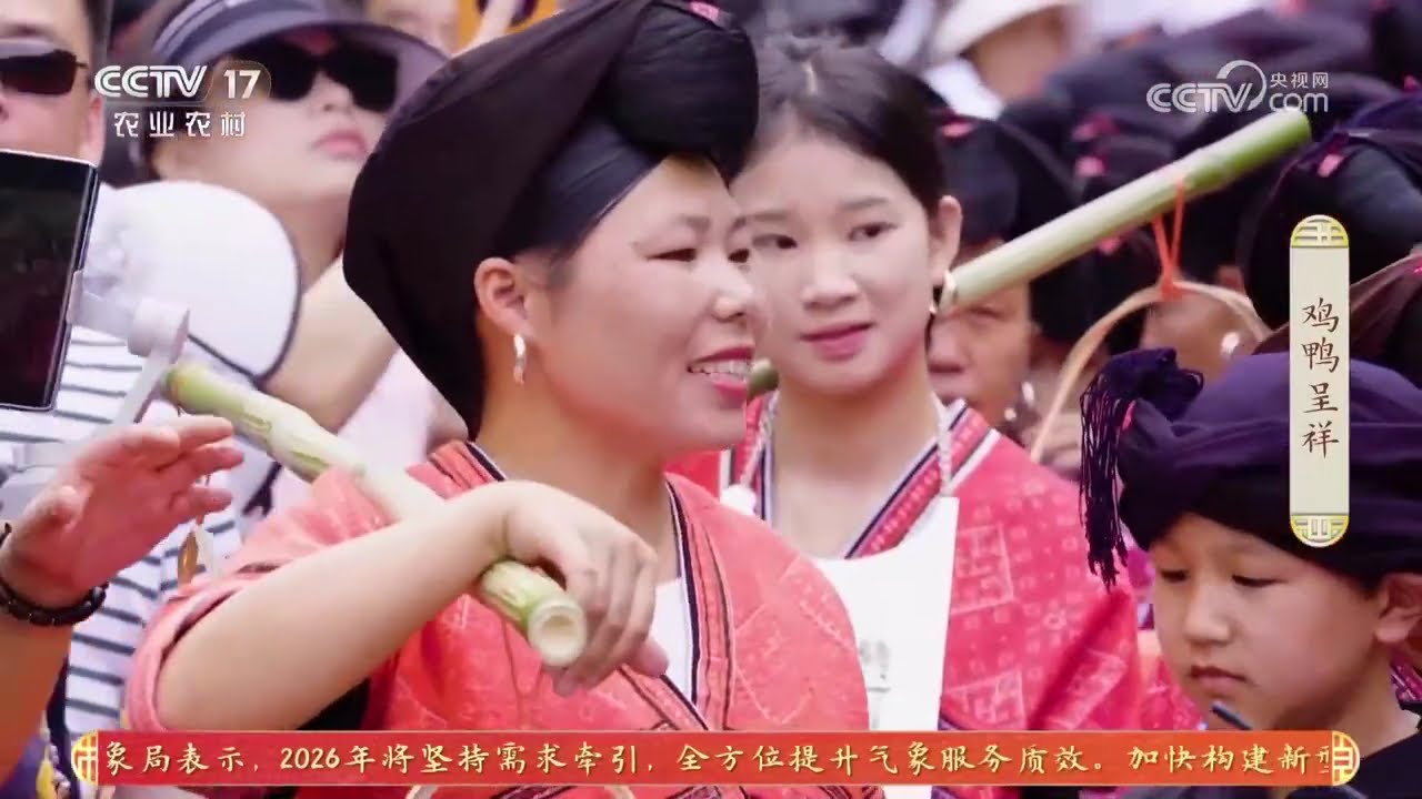 《大地讲堂》 20260212 乡味寻真 鸡鸭呈祥 | 农业致富经 Agriculture And Farming