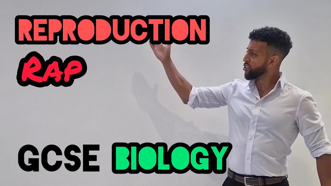 Science Raps: GCSE Biology - Reproduction