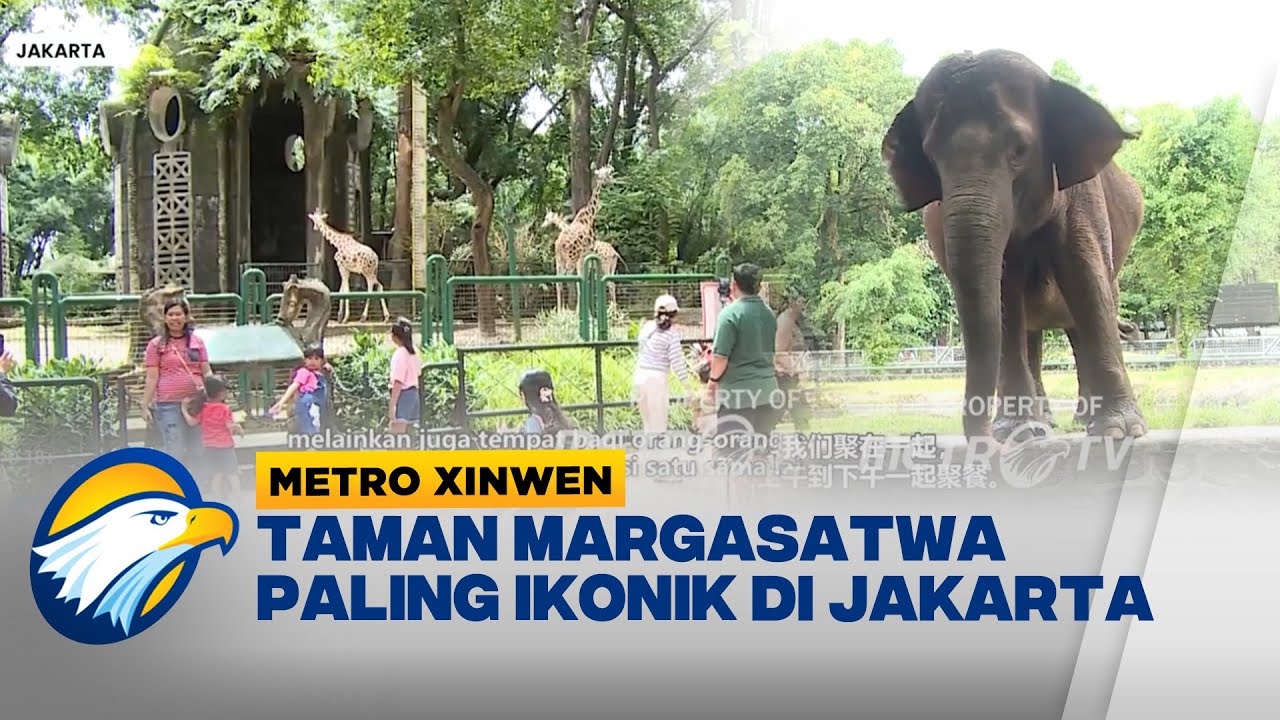 Metro Xinwen - Kebun Binatang Ragunan, Destinasi Favorit Libur Lebaran