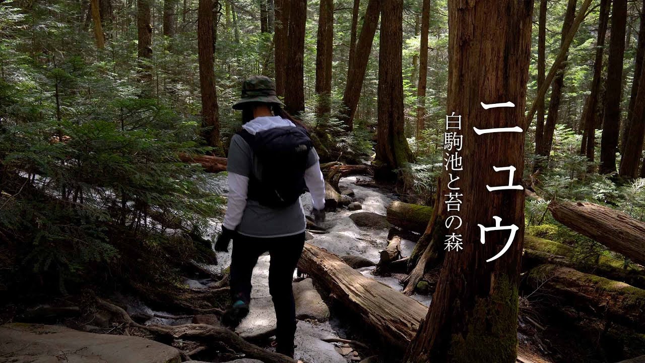 ニュウ（麦草峠）｜美しき白駒の池と苔の森。360度の壮大な眺望が魅了する。