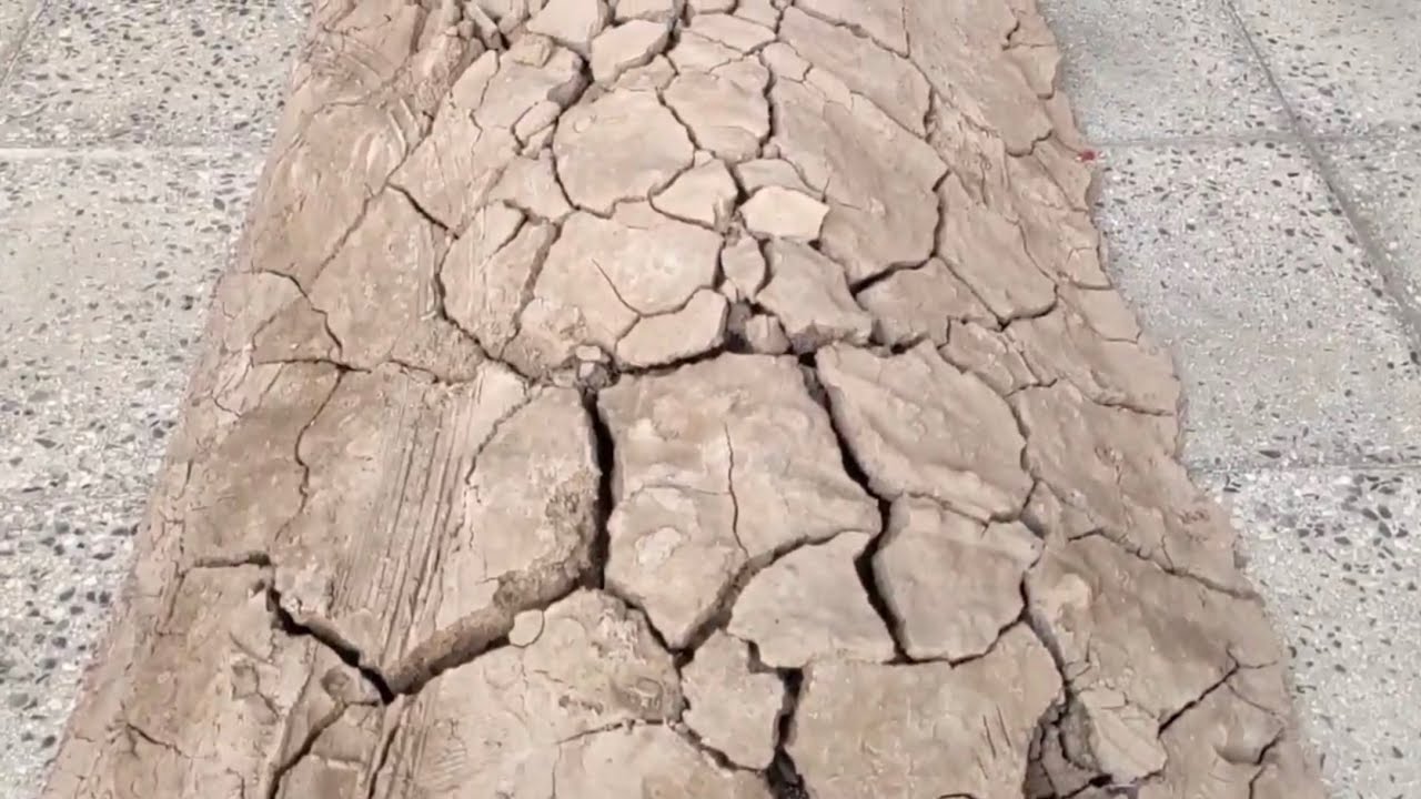 You haven't seen such a dirty carpet|Full of terrible mud|asmr Video.