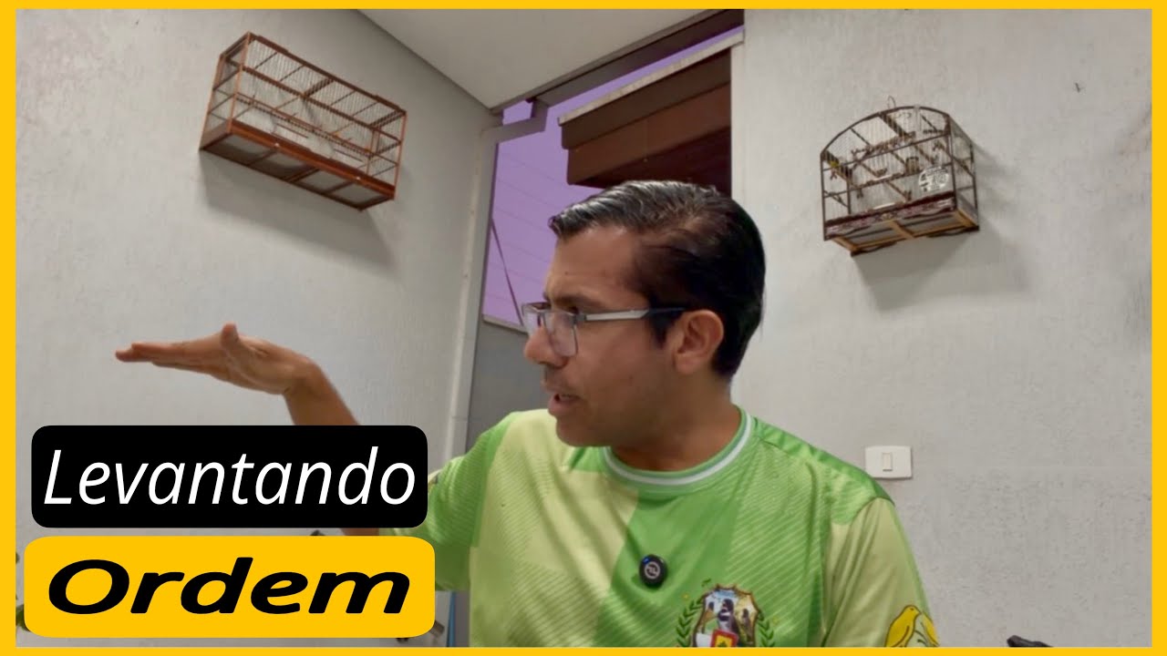 Levantando Ordem do Coleiro Papa-Capim: Manejo Simples e Eficiente! 🐦🔥