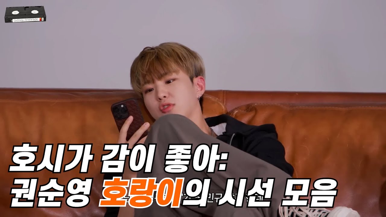 [세븐틴/호시] 호시가 감이 좋아 | 권순영 호랑이의 시선 모음 | GOING SEVENTEEN HIGHLIGHTS