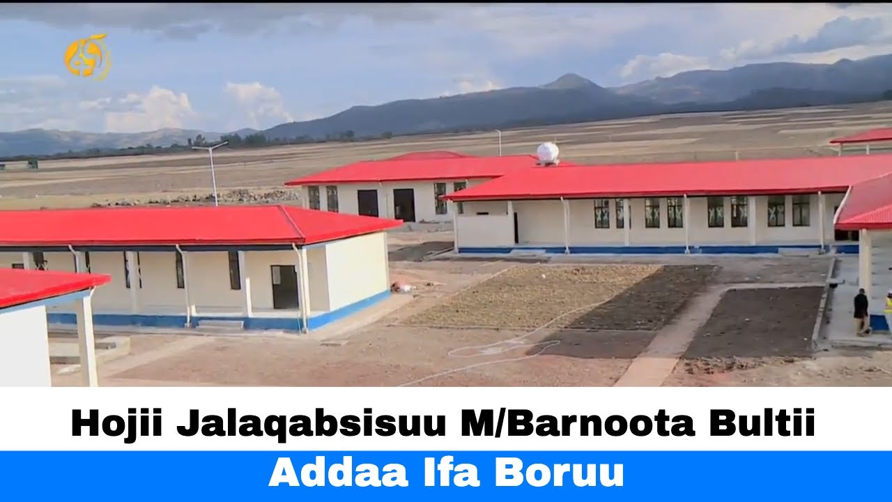 Hojii Jalaqabsisuu M/Barnoota Bultii Addaa Ifa Boruu