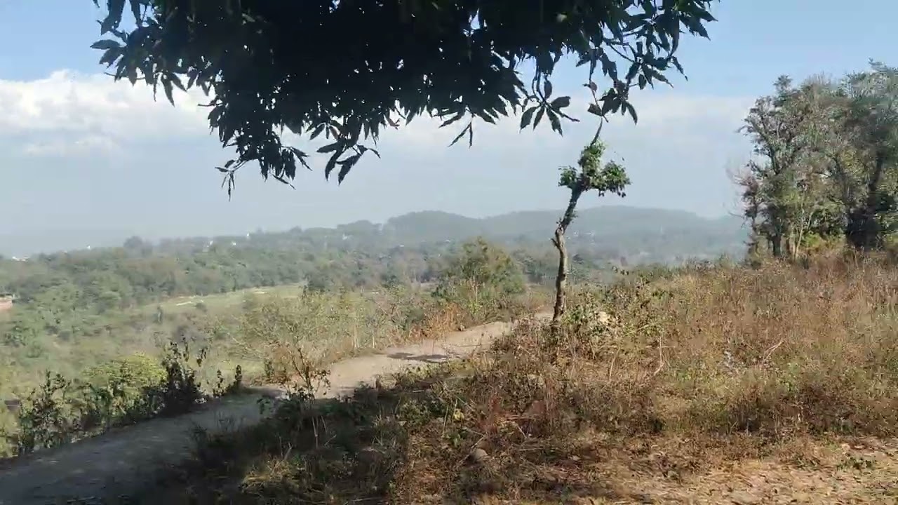 A View That Heals the Soul