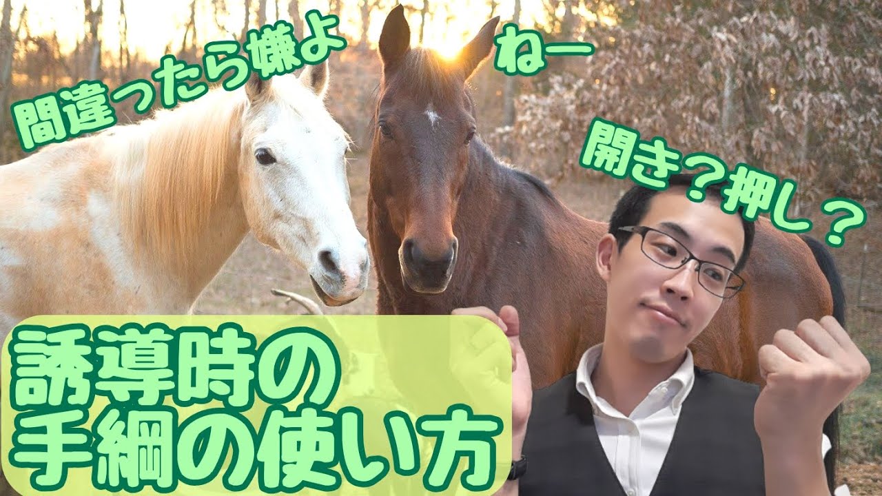 正しい誘導の第一歩！開き手綱と押し手綱の使い分けを解説！