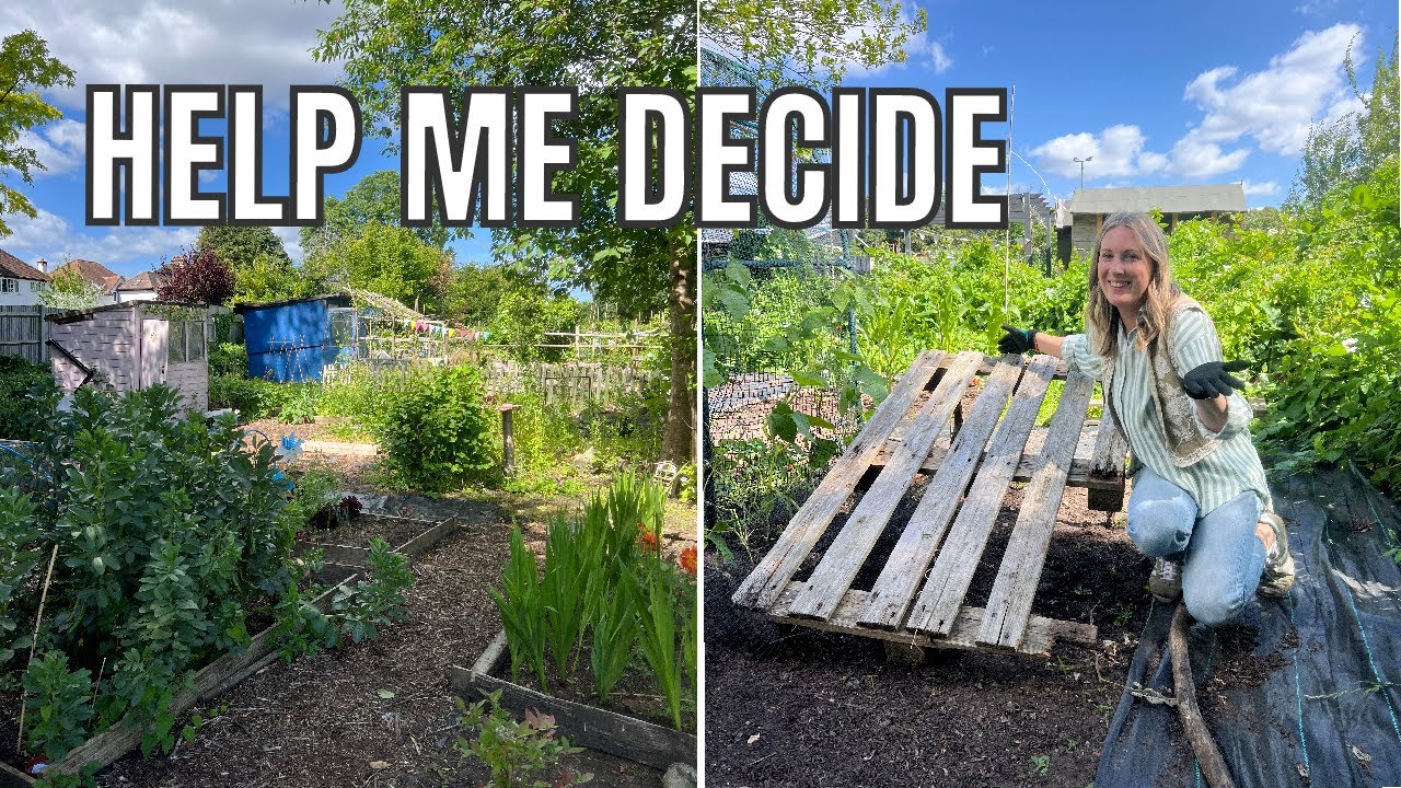 I'M UNDECIDED ABOUT THIS... / ALLOTMENT GARDENING FOR BEGINNERS