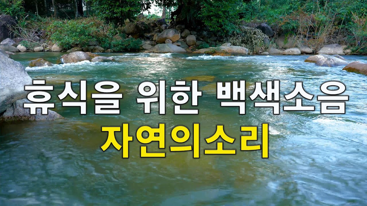 🎧 『자연의소리/계곡물소리』 오래된 숲을 품고 있는 푸른 개울의 졸졸졸 흐르는 소리 - 숙면과 공부, 휴식을 위한 백색소음 - ASMR.