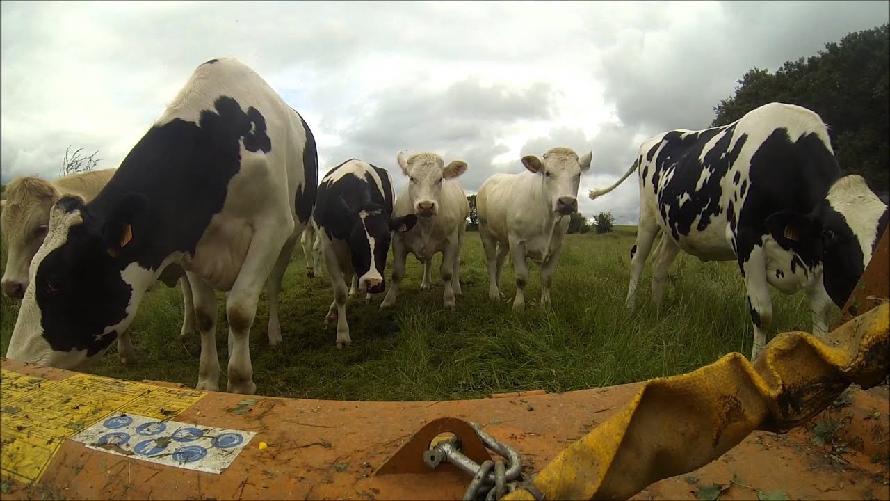 Refus 2015 [GoPro]