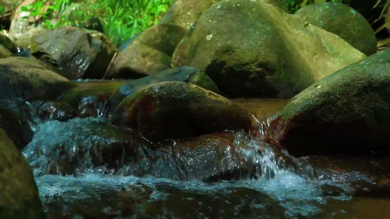 Healing Forest Stream Sounds, Peaceful Moments, Mental Clarity, Relaxation