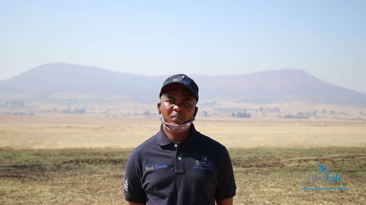 Meet The Guide: Steven Segang