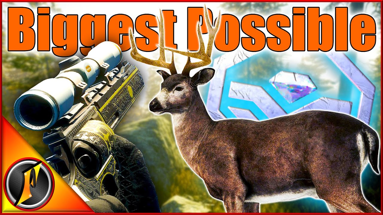 Trophy Cabin Hunting with the BIGGEST POSSIBLE WEAPONS!