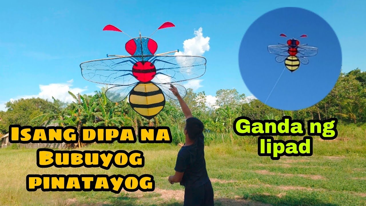Isang dipang Bubuyog na Guryon, Palipad ng Saranggola o Papagayo, Bee Kite, Bulador, Layangan