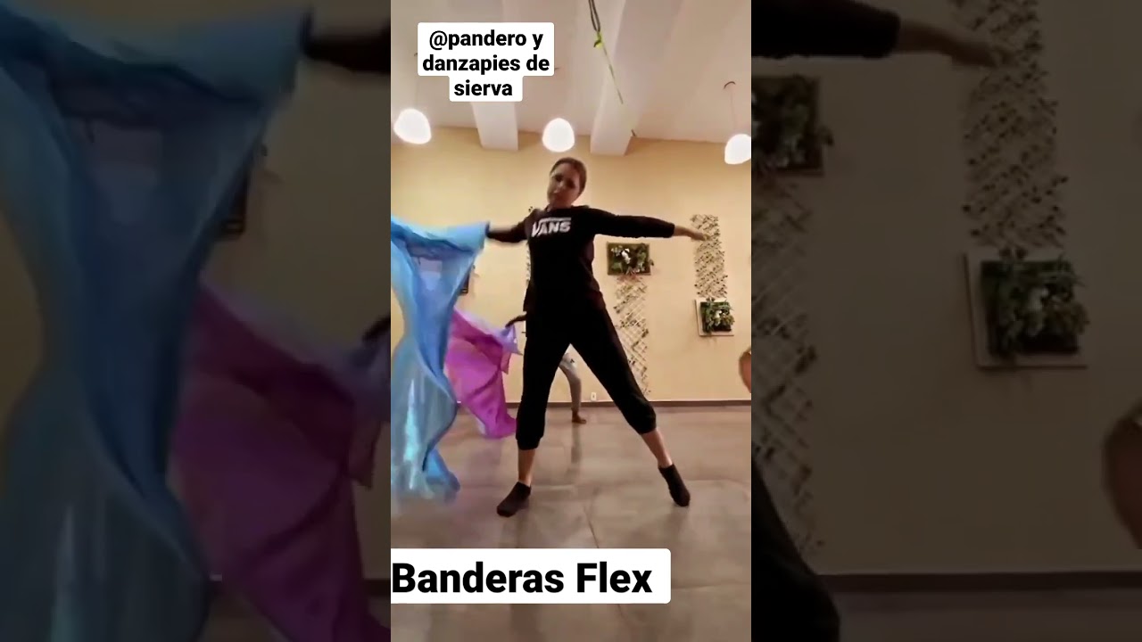 banderas Flex  pandero y danza pies de sierva