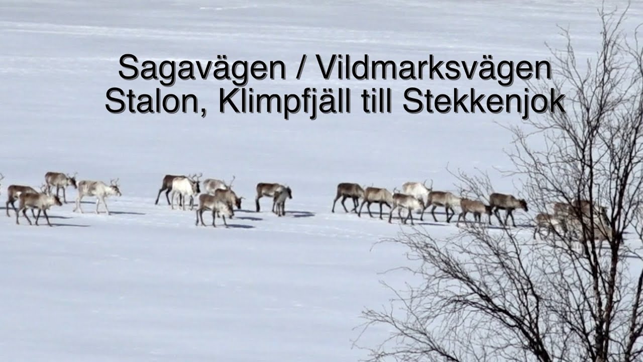 Sagavägen/Vildmarksvägen - Stalon, Klimpfjäll till Stekenjokk