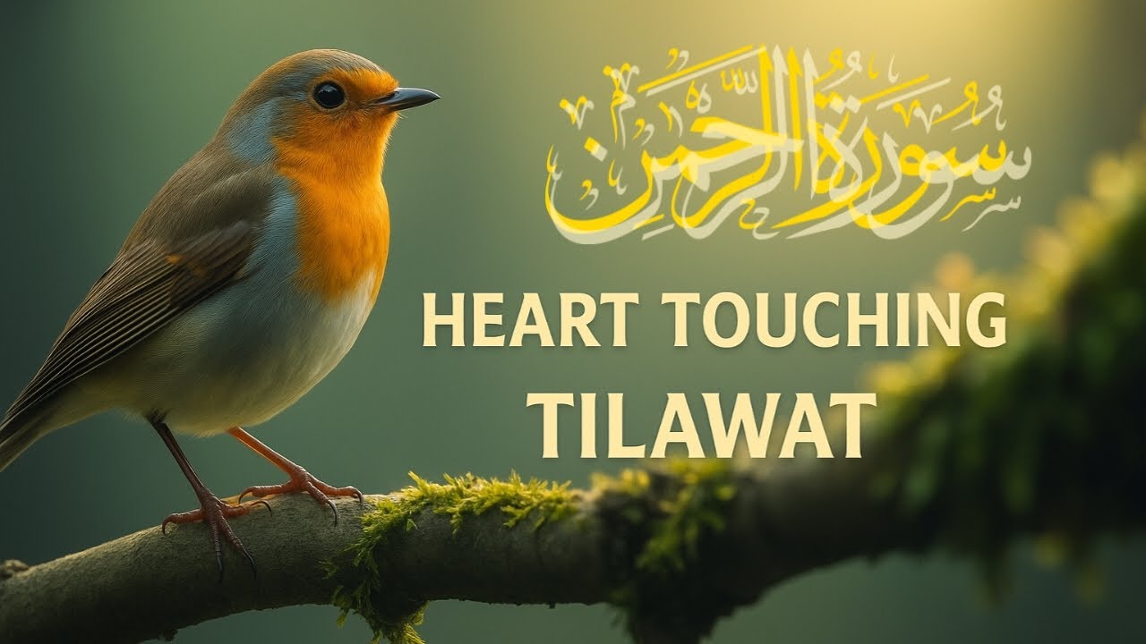 Surah Ar-Rahman | Beautiful Recitation by Qari Tariq Muhammad | Heart-Touching Quran Tilawat