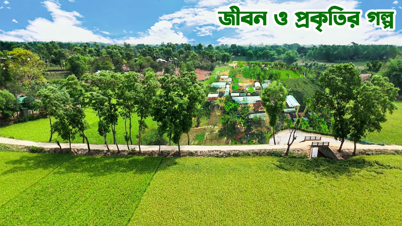 ময়মনসিংহের ফুলবাড়িয়ার গ্রামীণ জীবন ছবি | জীবন ও প্রকৃতির গল্প