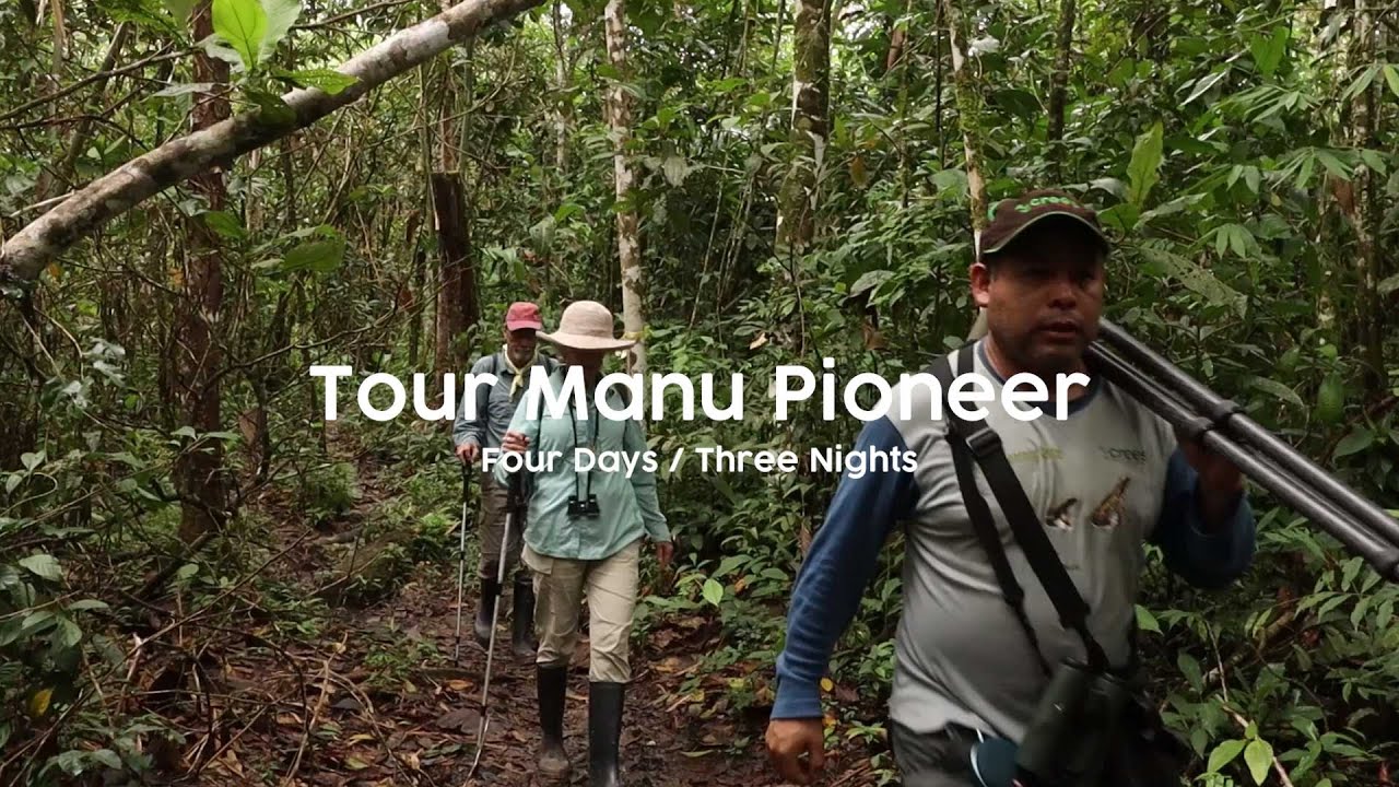 The Manu Pioneer: 4 Days - 3 Nights in the Amazon Rainforest!