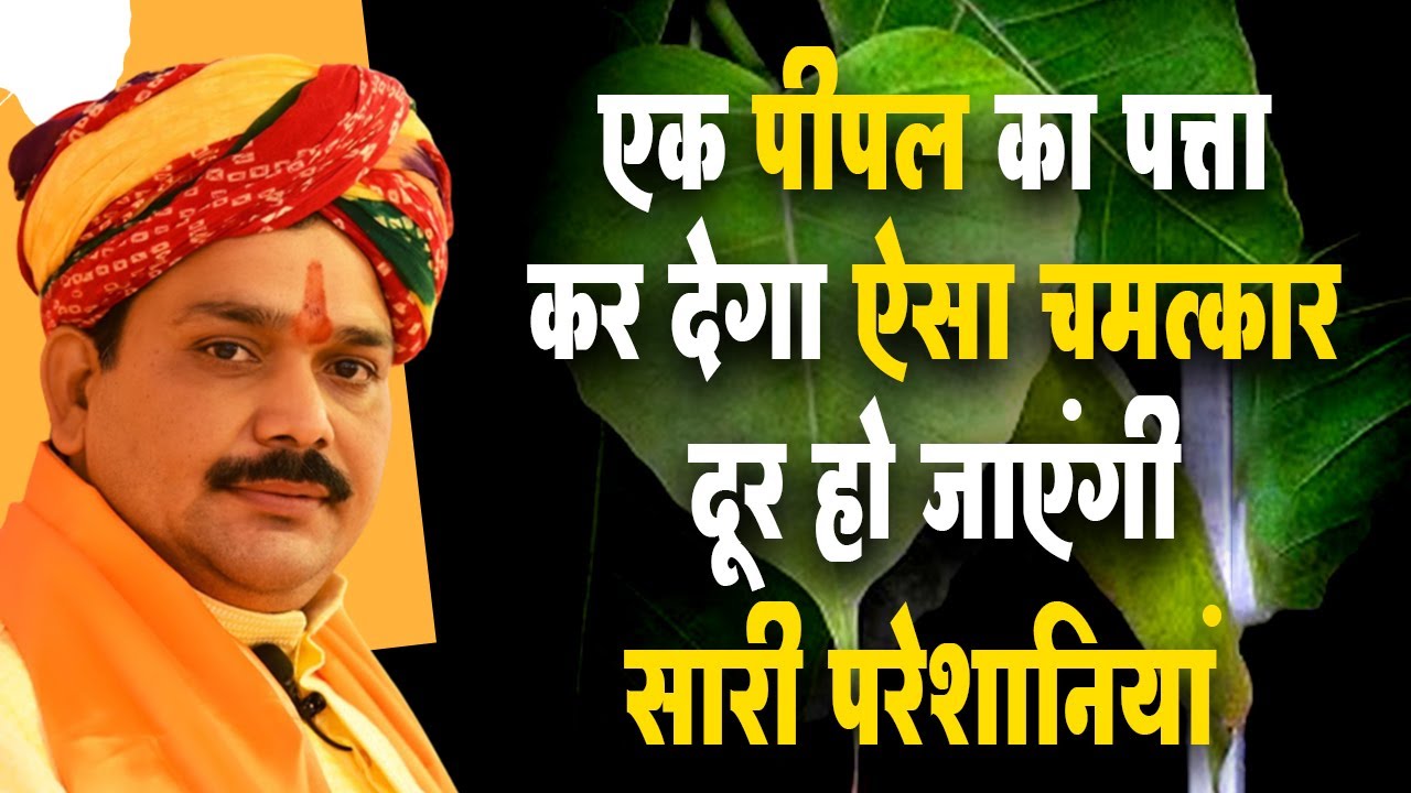एक पीपल का पत्ता कर देगा ऐसा चमत्कार | दूर हो जाएंगी सारी परेशानियां | Pandokar Sarkar Dham