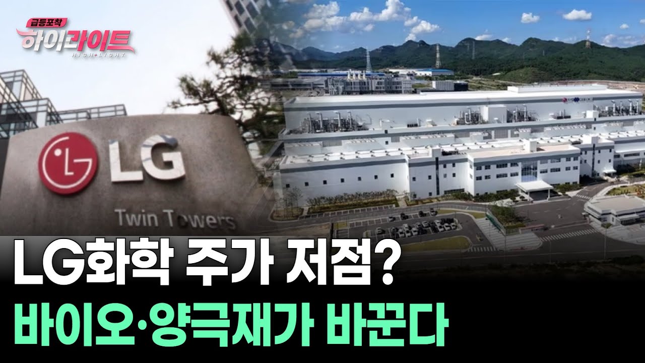 LG화학 주가 저점? 바이오&middot;양극재가 바꾼다