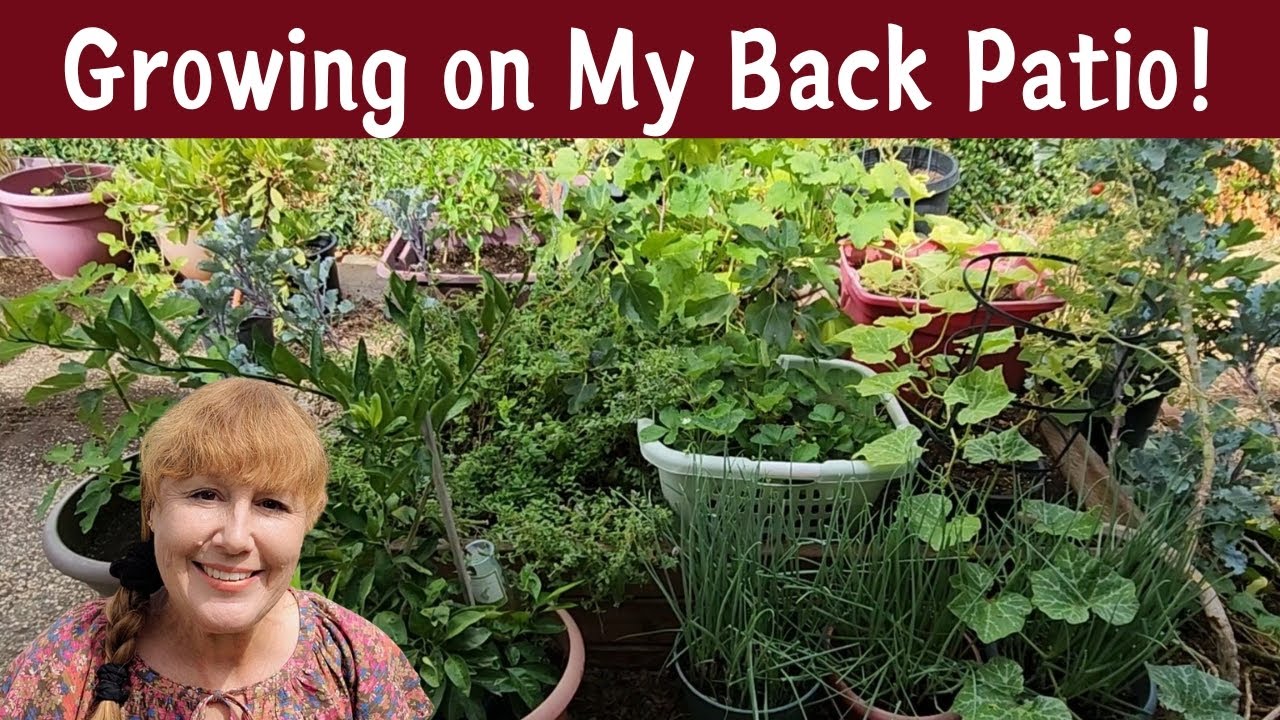 Small Space Garden Tour ~ Growing So Much Food in a Small Area! ~ Plus, WHAT Did I Cut Down?!?