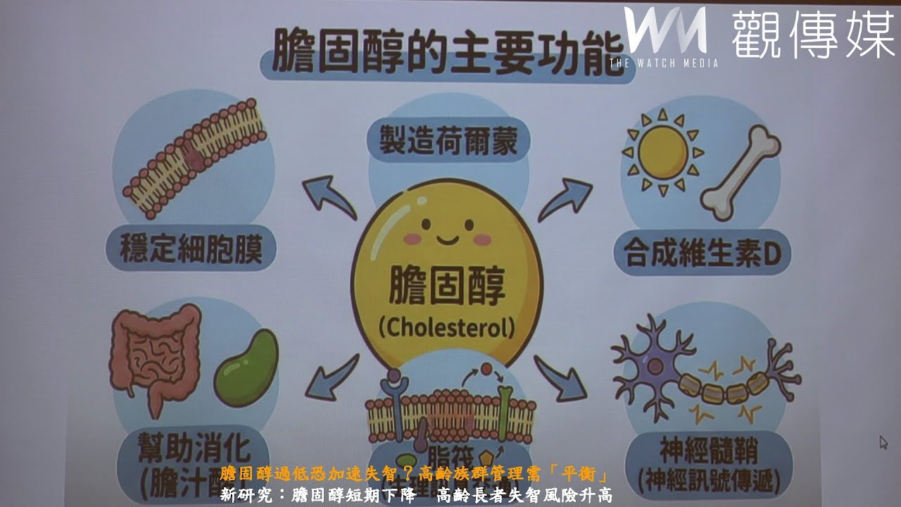 膽固醇過低恐加速失智？高齡族群管理需「平衡」