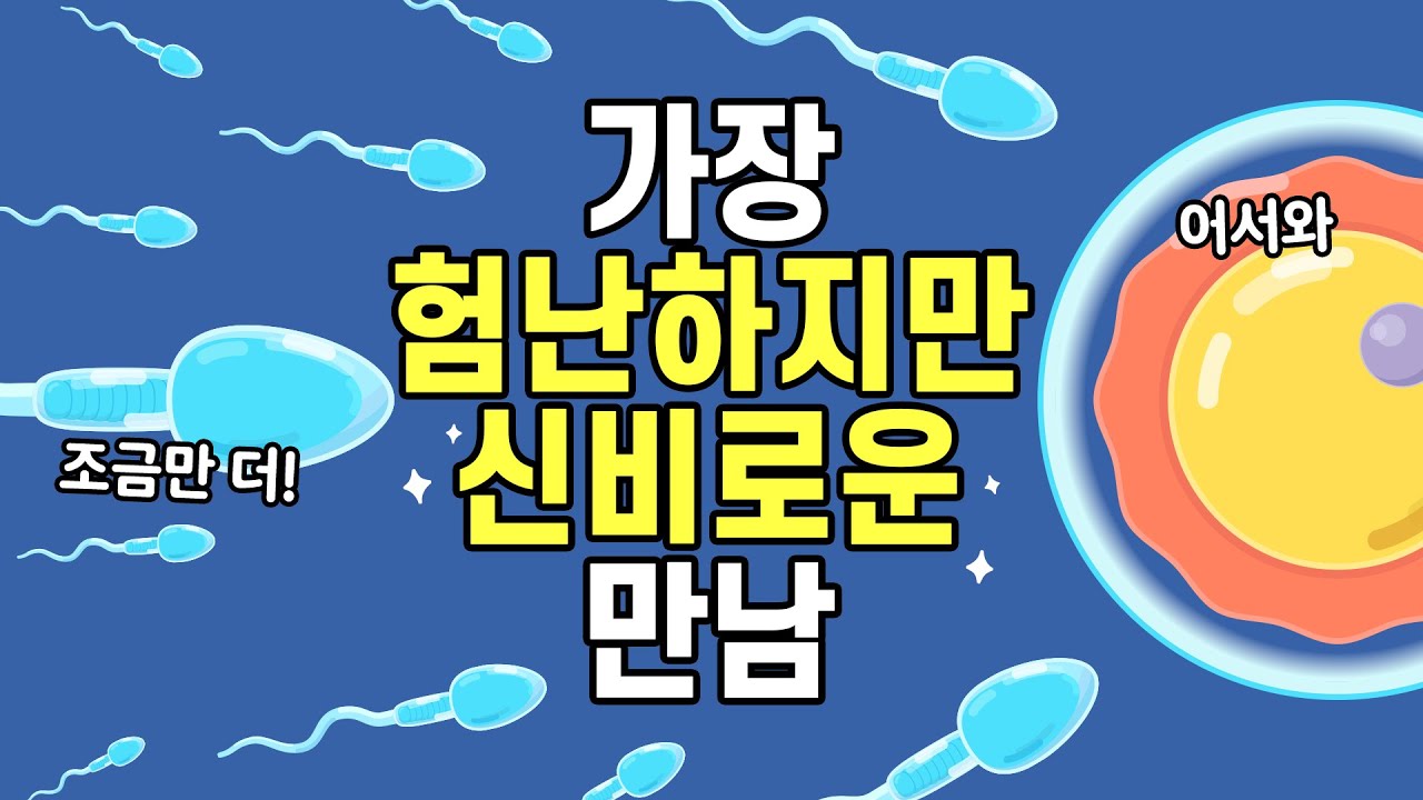 정자가 난자를 만나는 가장 험난하지만 신비로운 과정