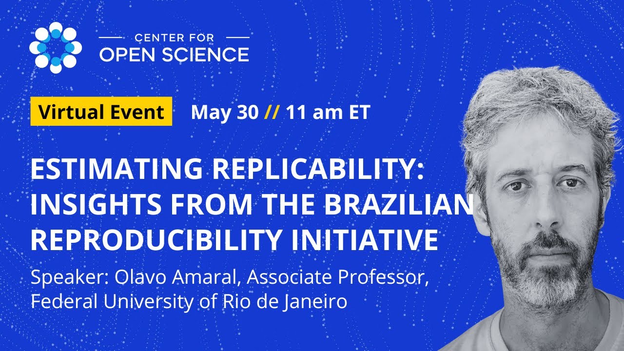 Estimating Replicability: Insights from the Brazilian Reproducibility Initiative