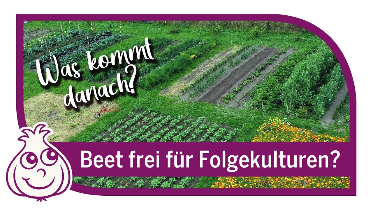 Fruchtfolgen bei uns im Gemüsegarten | Gartenrundgang