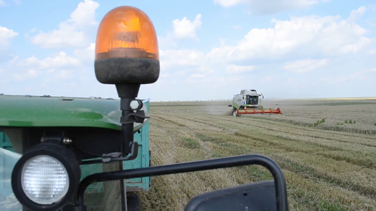 Recoltat Grau - Claas Lexion 550 / John Deere 2066 / John Deere 5100R / UTB 650M