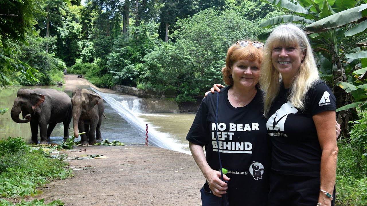 Присоединяйтесь к беседе основательницы Animals Asia Джилл Робинсон со звездой сериала &laquo;Аббатство...
