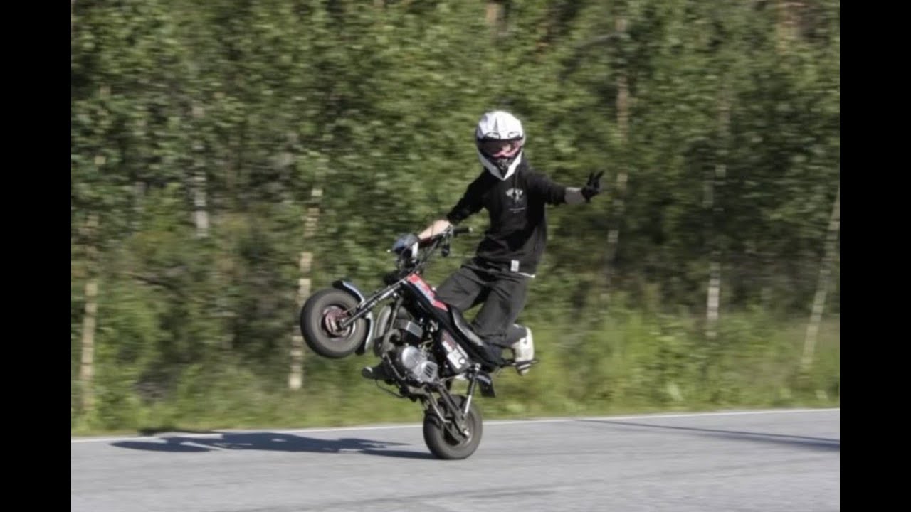 Suzuki pv wildout