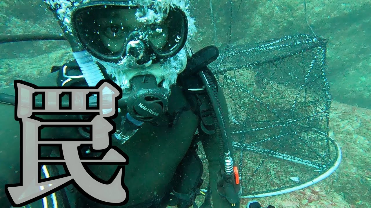 巨大カゴ第二弾！！漁師イチオシのポイントに仕掛けてみた！