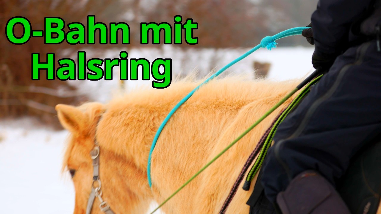 Mit Halsring auf die O-Bahn: Gute Idee oder Desaster?